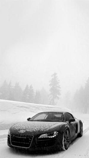 Audi R8.jpg